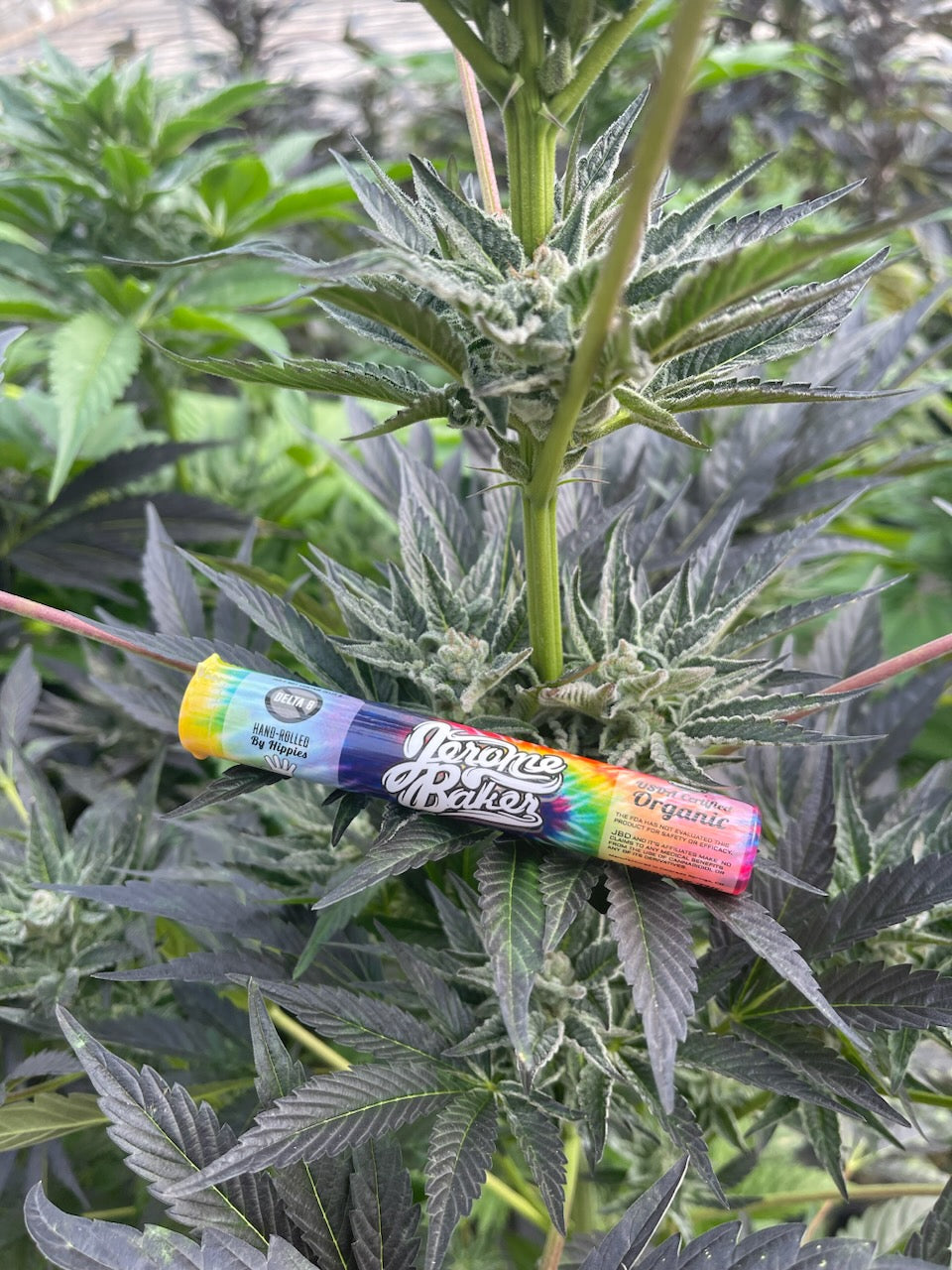 1 gram Pre Roll Suver Haze